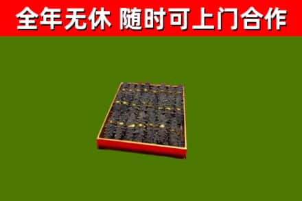 兴宁回收海参